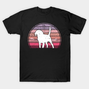 Puppy Beagle Sunset T-Shirt